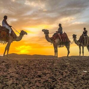 Marsa Alam Desert Safari
